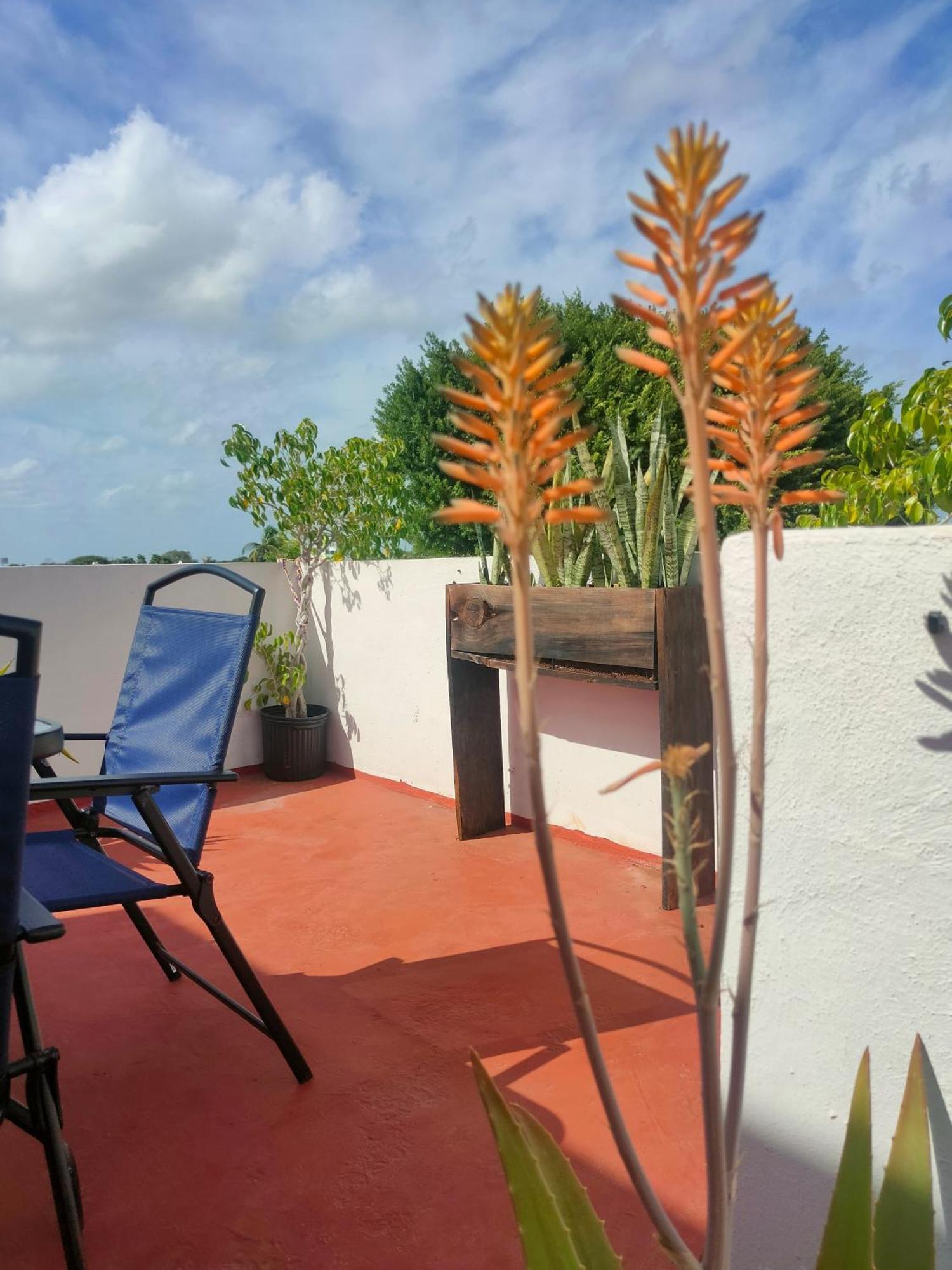 Apartamento Casa Coraza Cancún Exterior foto