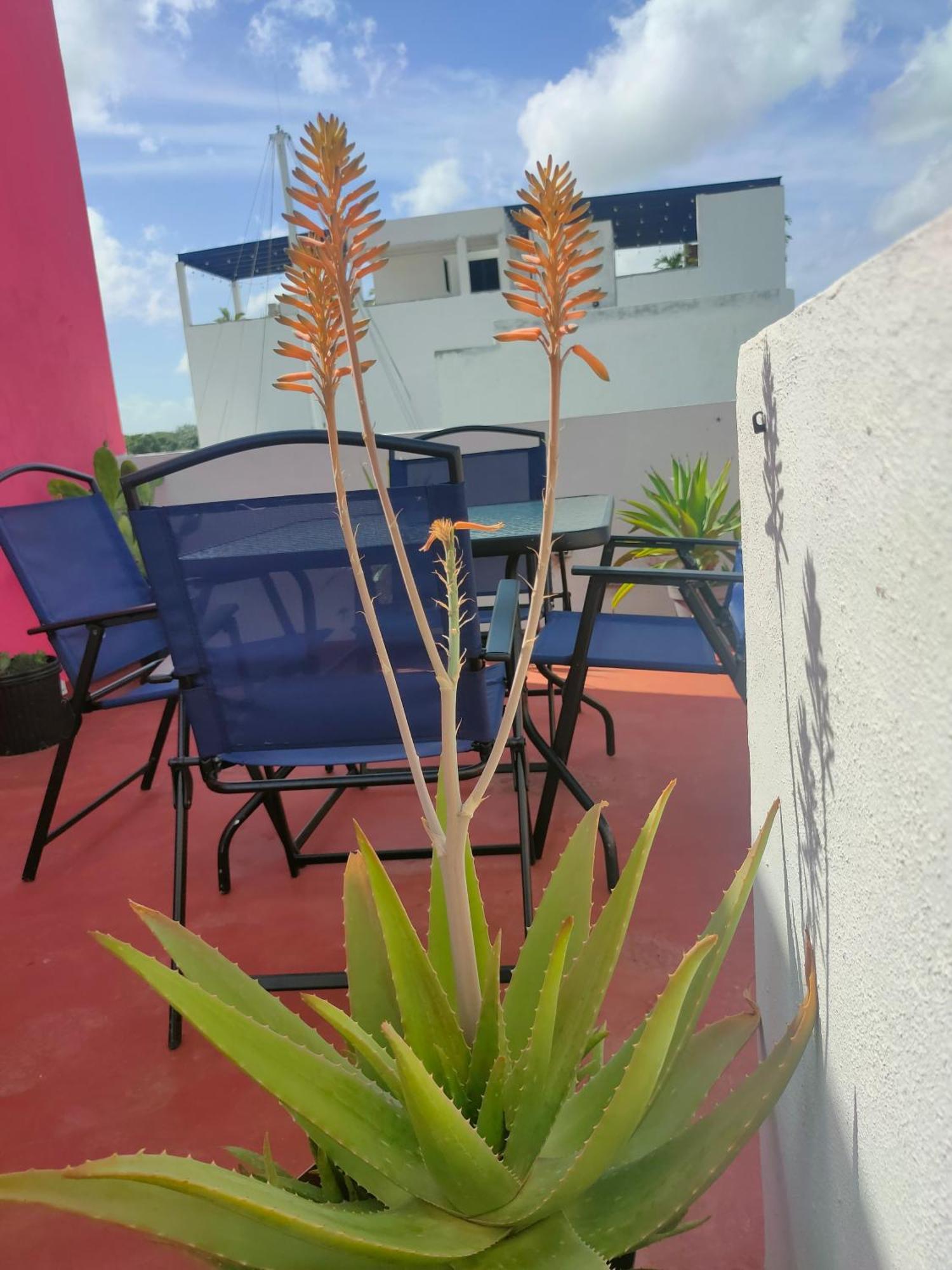 Apartamento Casa Coraza Cancún Exterior foto