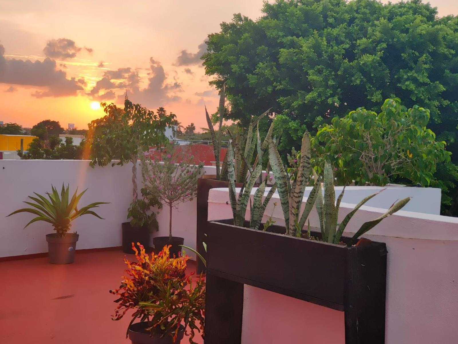 Apartamento Casa Coraza Cancún Exterior foto